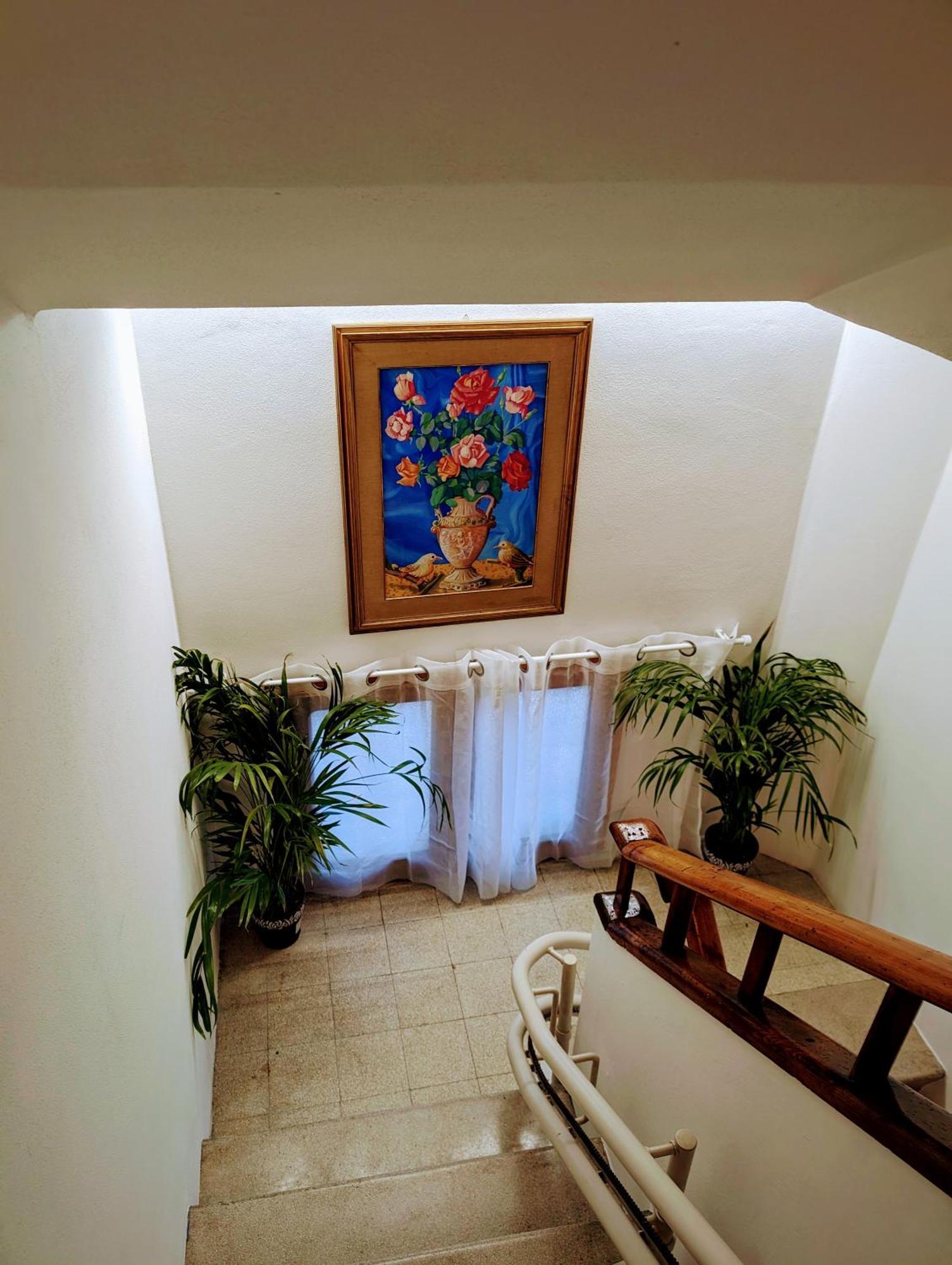 Guest House Il Glicine Stadio - Ospedale Cesena Ngoại thất bức ảnh